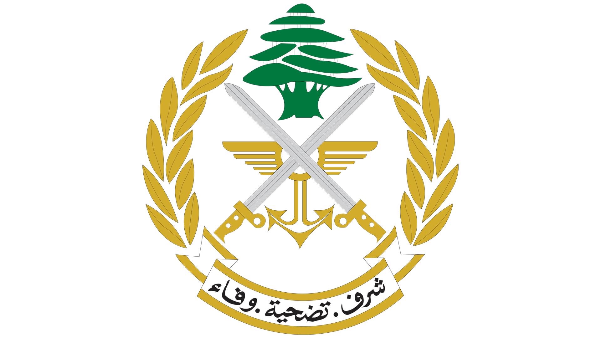 الجيش: توقيف مواطن في كفركلا لاجتيازه السياج التقني من الأراضي الفلسطينية المحتلة إلى لبنان