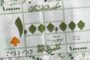 جولة زيادة أسعار جديدة: 10 إلى 15%