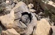 بالصور : جهاز تجسس مموه مزود ب آلة تصوير في يارون ..الجيش عمل على تفكيكه
