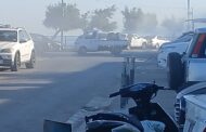 حملة رش مبيدات صيفية بالتعاون بين بلدية صور والريجي