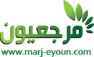 موقع مرجعيون