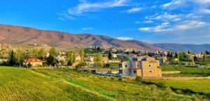 بسبب قطعة ارض.. إشكال في بلدة لبنانية وسقوط قتيل!*